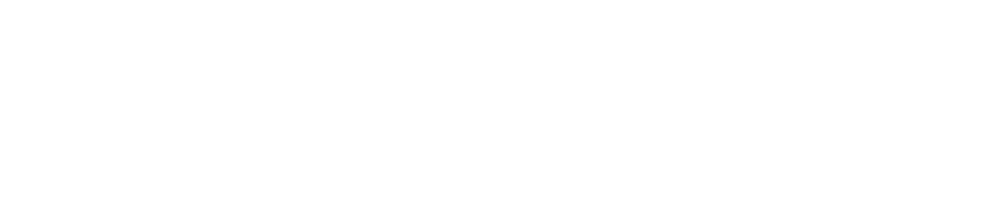 BoardSuccess logo