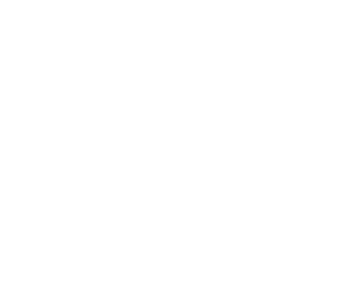 United Nations emblem