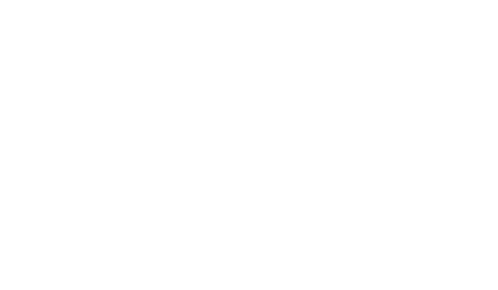 IMT Partners logo